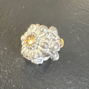 Pandora SilverWhite Charm with Gold Accents